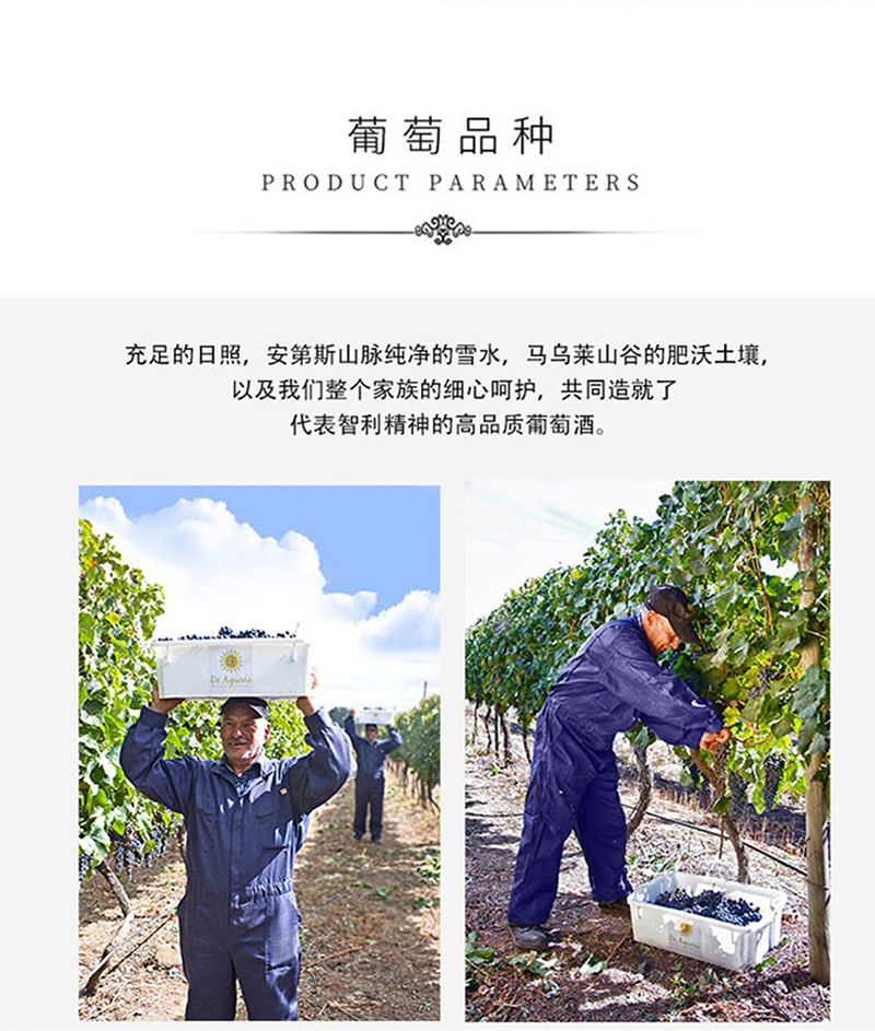 羞羞视频在线观看·老藤切片_11.jpg